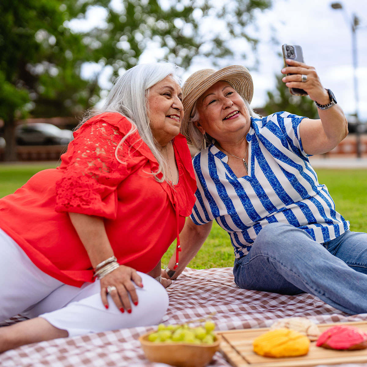 women using a cell phone on a picnic